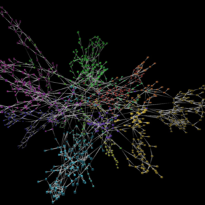 Build Alpha Lifetime License