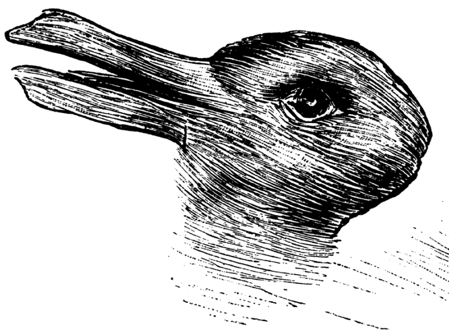 Duck or Rabbit Illusion - A case against discretionary trading
